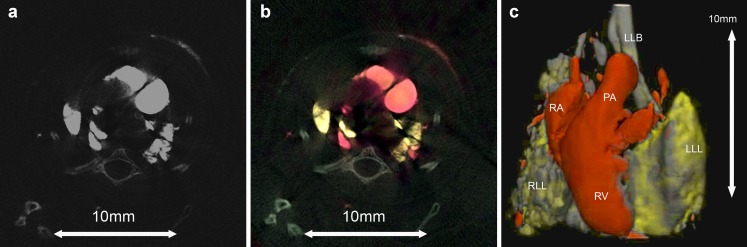 Fig. 8