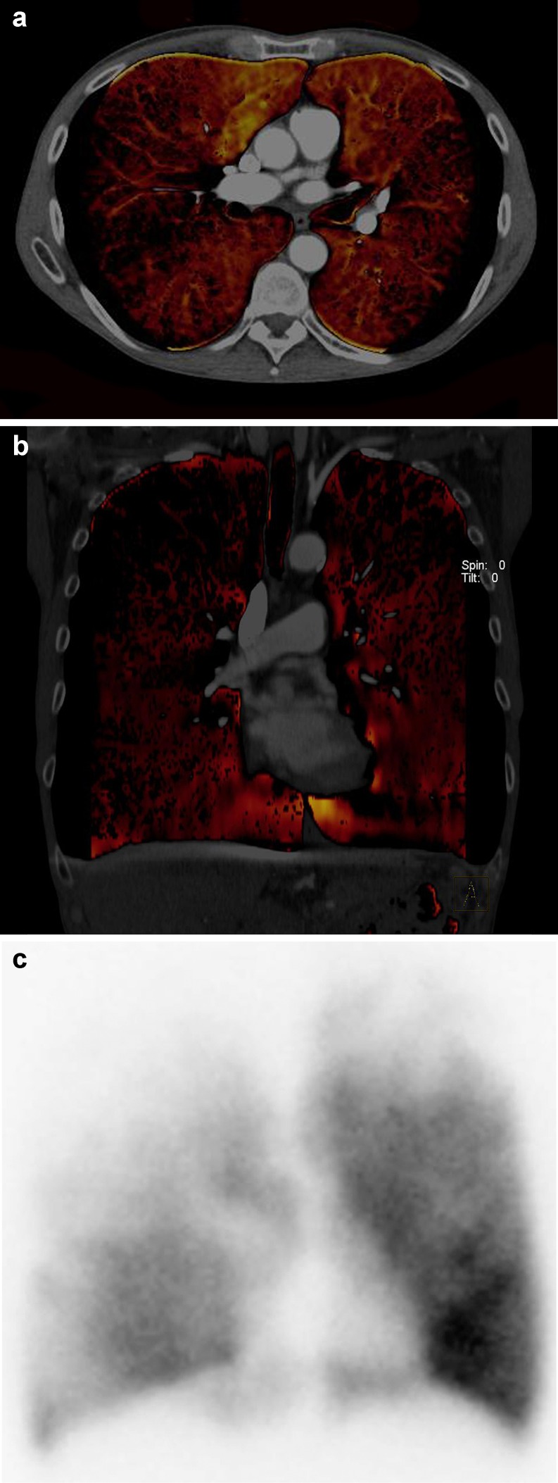 Fig. 7