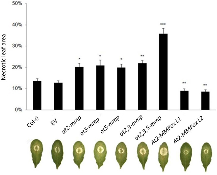 Fig 4