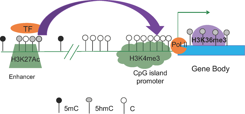 Figure 4: