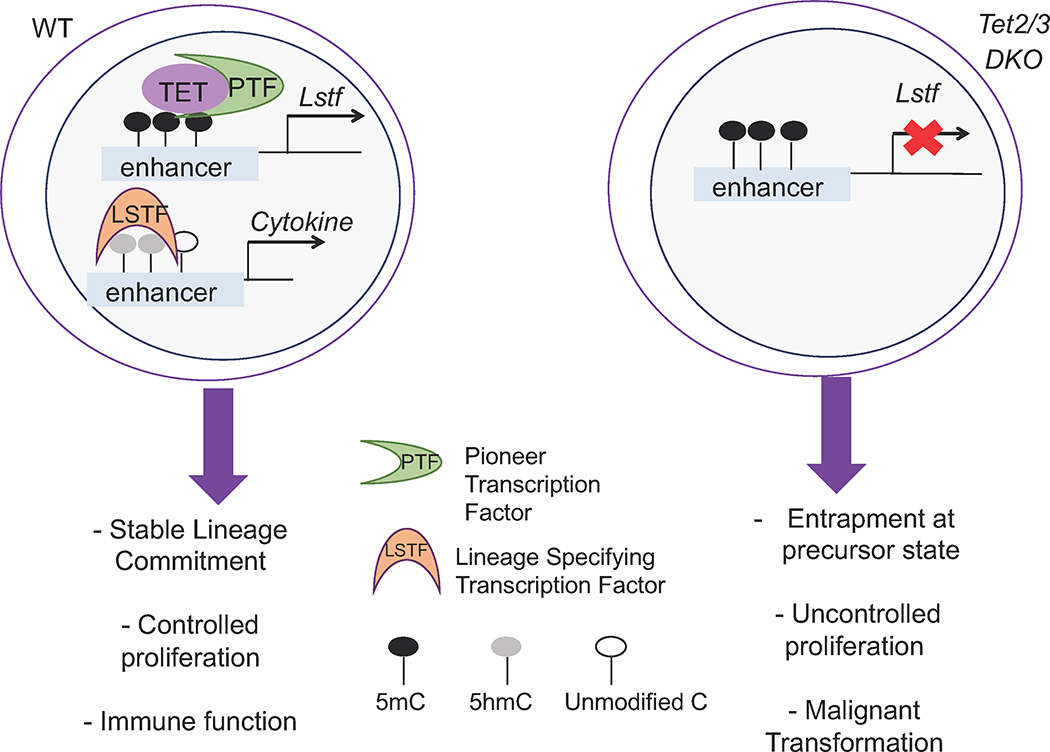 Figure 6: