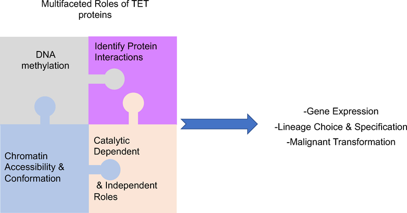 Figure 7: