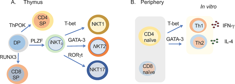 Figure 3: