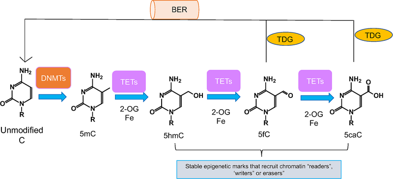 Figure 1: