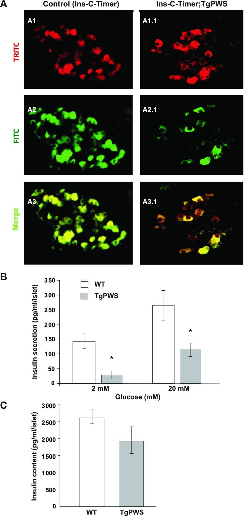 Fig. 6.