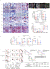 Extended Data Figure 2|