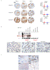 Extended Data Figure 10|