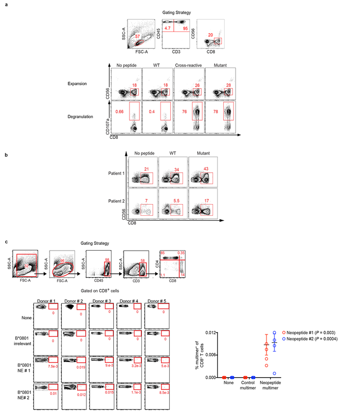 Extended Data Figure 8|