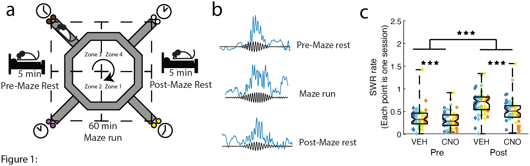 Figure 1: