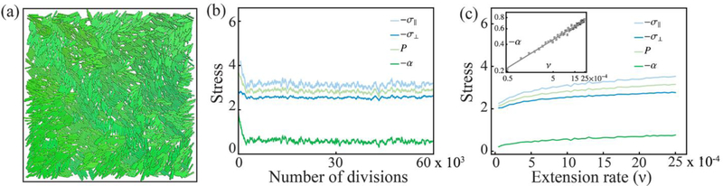 Figure 7: