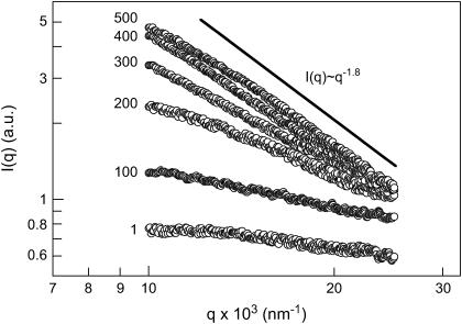 FIGURE 9