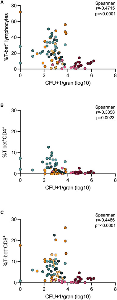 Figure 7.