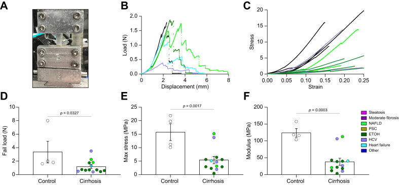 Fig. 6