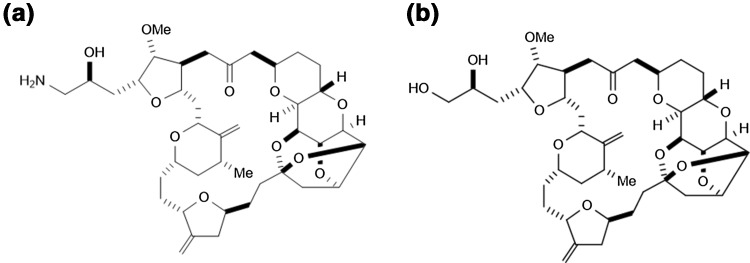 Fig. 1