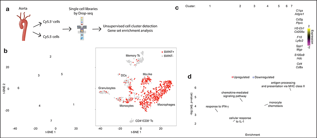 Figure 4: