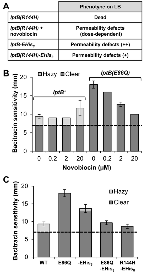 Figure 2: