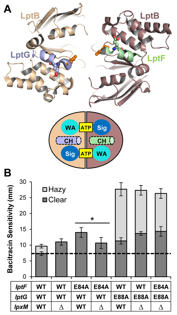 Figure 6: