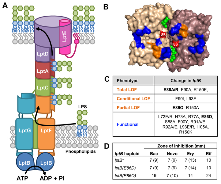 Figure 1: