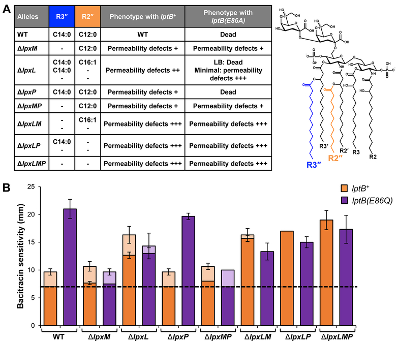 Figure 4: