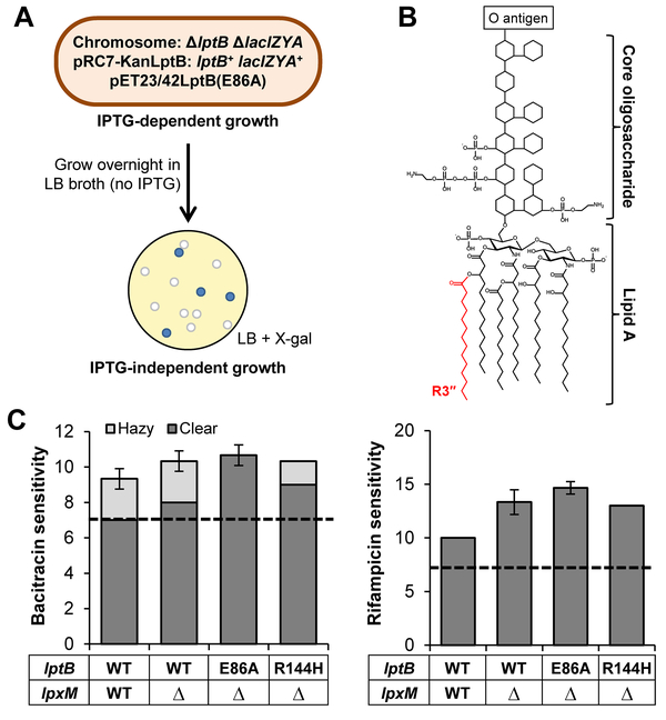 Figure 3: