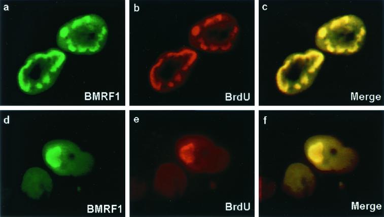 FIG. 7