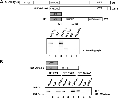 FIG. 7.