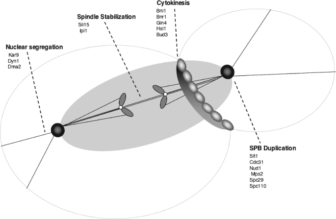 FIGURE 9.