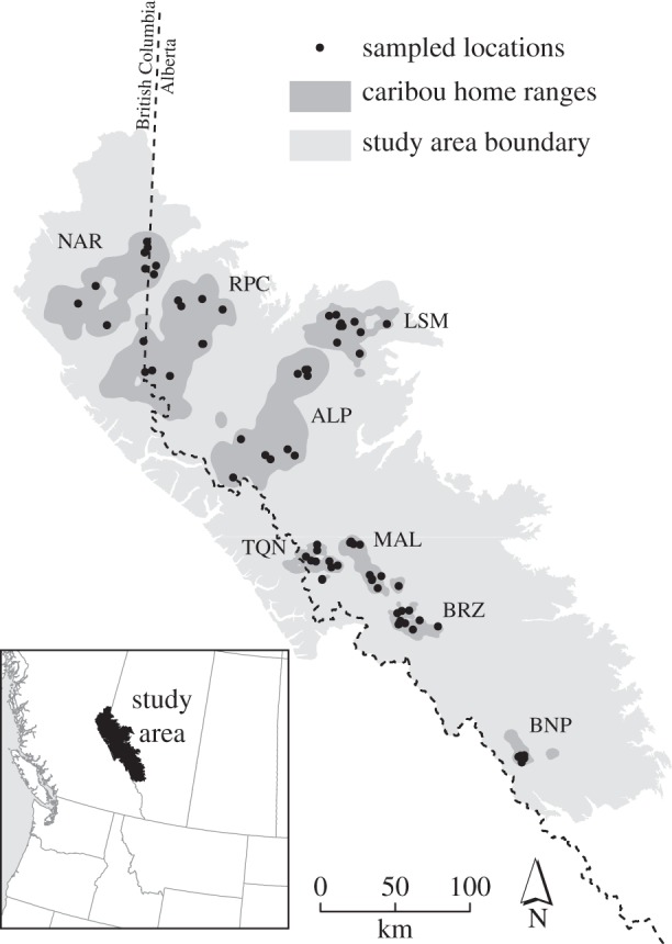 Figure 1.