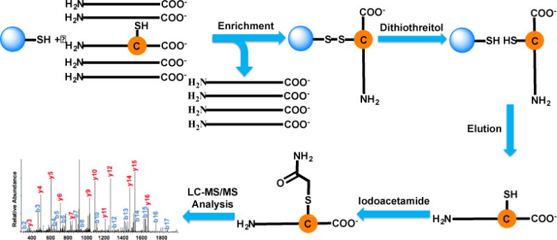 Scheme 2