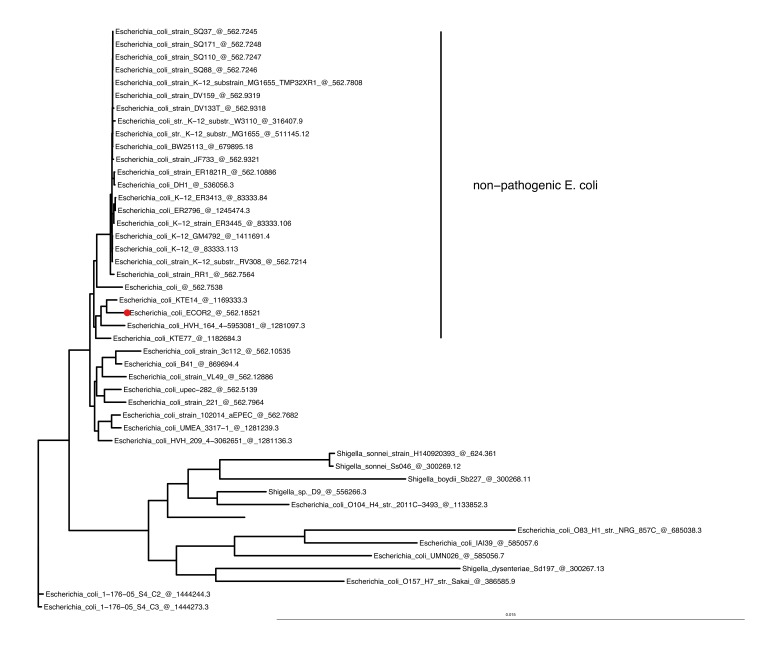 Figure 1—figure supplement 2.