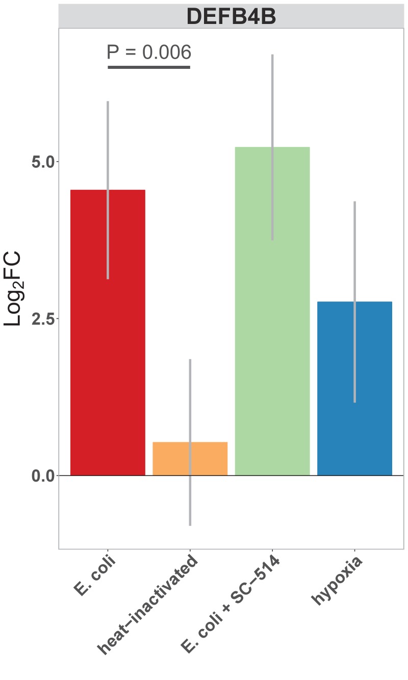 Figure 6—figure supplement 1.