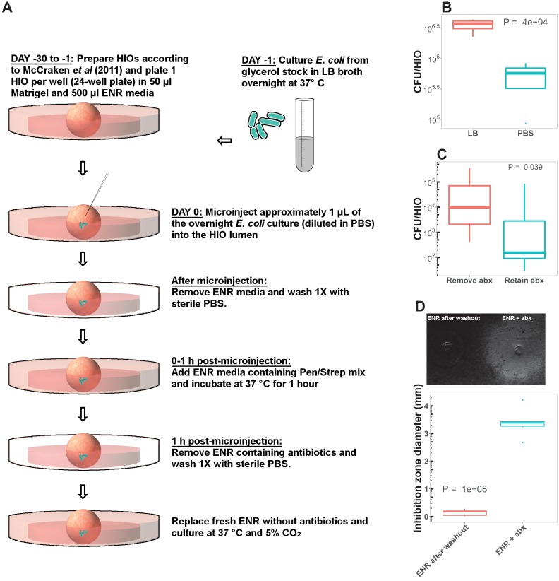 Figure 1—figure supplement 3.