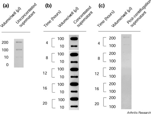 Supplementary Figure 2