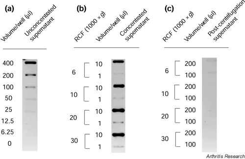 Supplementary Figure 4