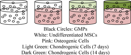 graphic file with name nihms611981t1.jpg