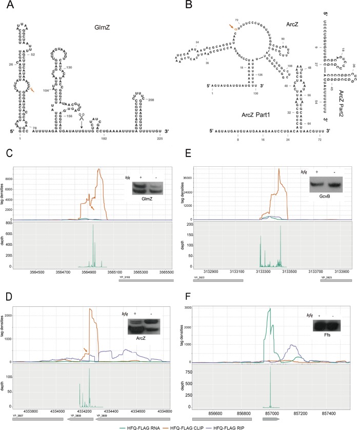 FIG 6