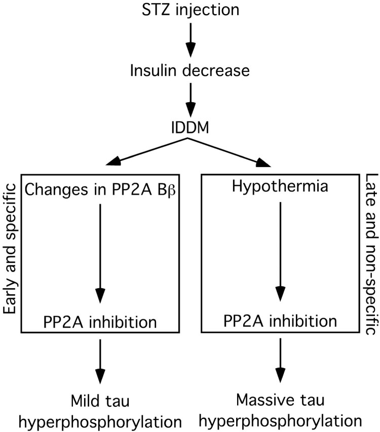 Figure 12.