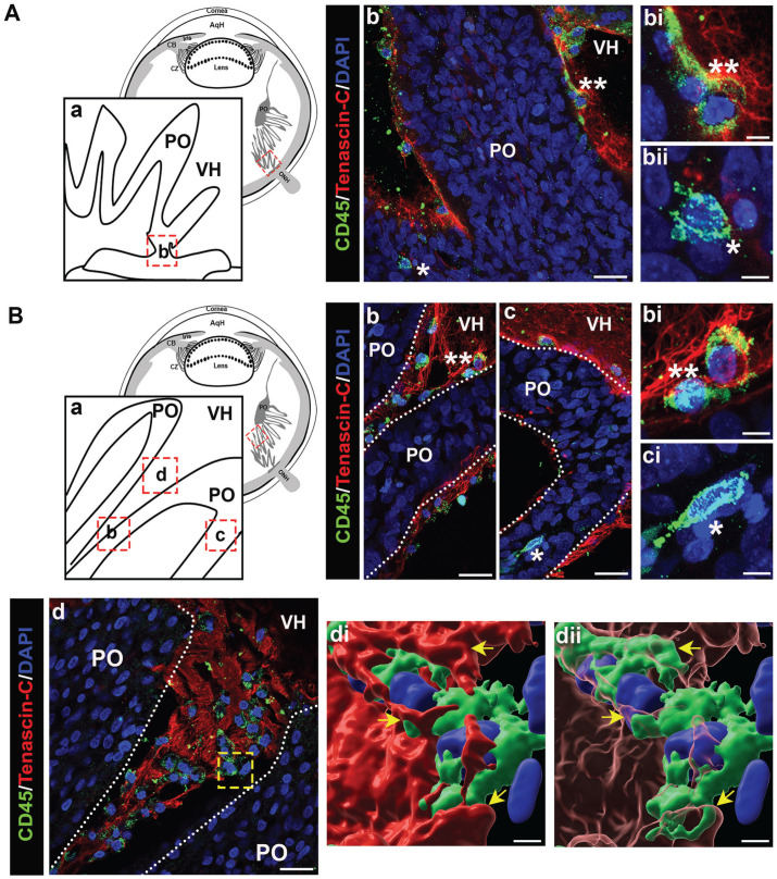 Figure 13.