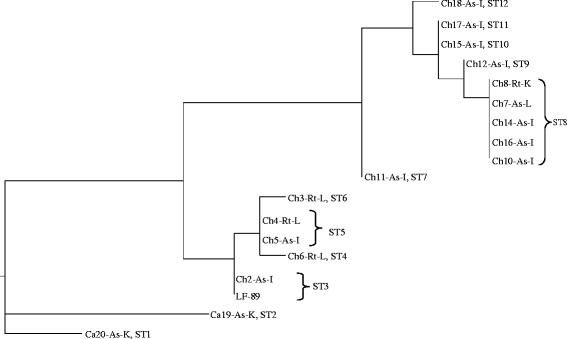 Fig. 5