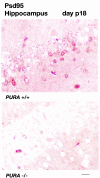 FIG. 11.