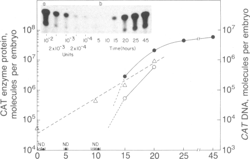 graphic file with name pnas00266-0168-a.jpg