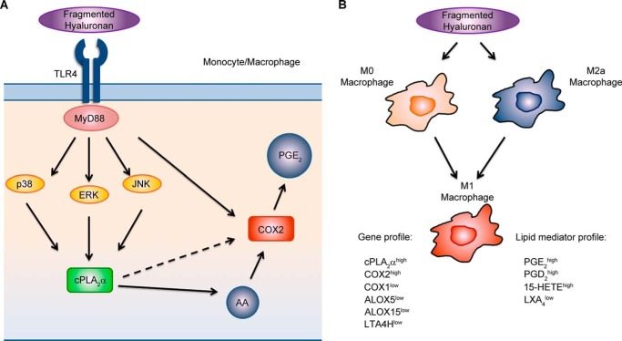 FIGURE 12.