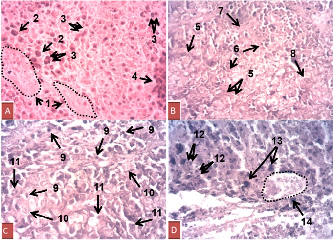 Fig 4