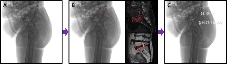 Fig. 7