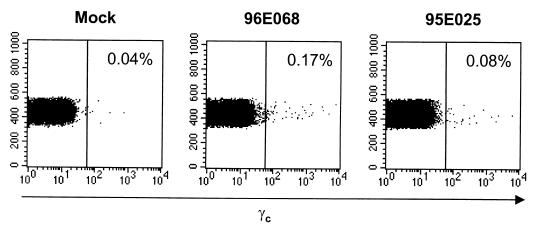 FIG. 6