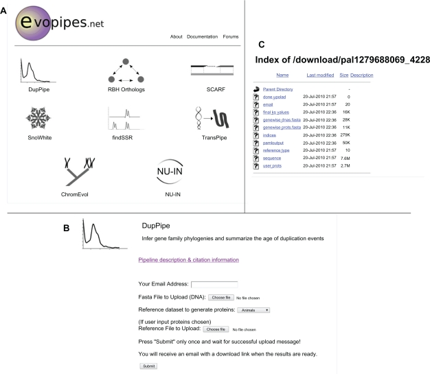 Figure 2.