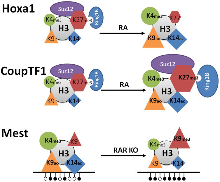 Figure 7.4