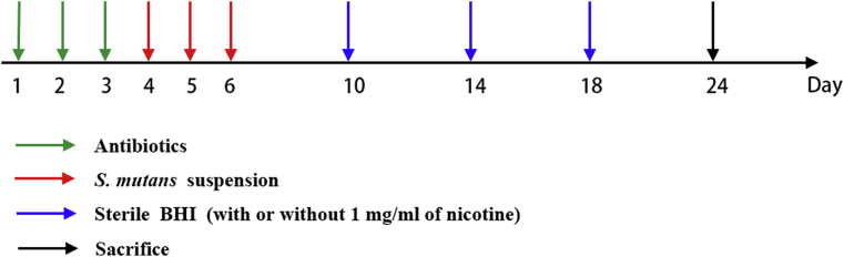 Fig. 1