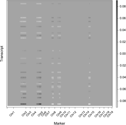 Figure 4.—