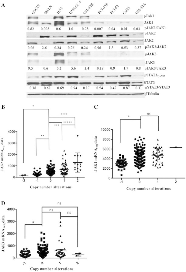 Figure 1